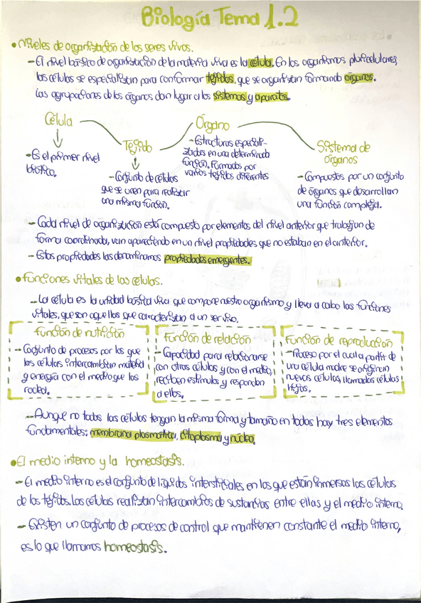 Miniatura del documento Documento-escaneado-2025-10-13-a-las-15.02.56.pdf