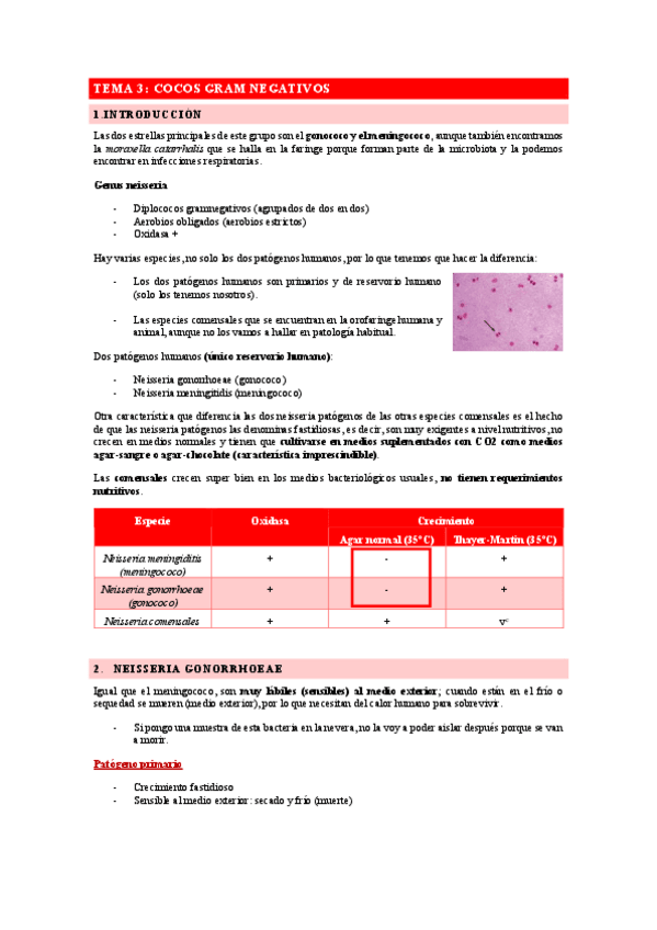 Miniatura del documento Tema-3-Cocos-gram-negativos.pdf