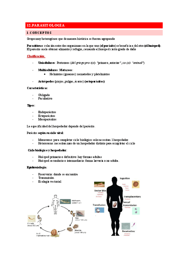 Miniatura del documento Tema-11-Parasitologia.pdf