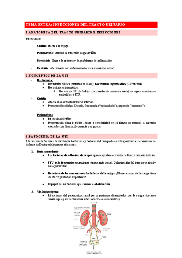 Miniatura del documento Tema-extra-Infecciones-del-tracto-urinario.pdf