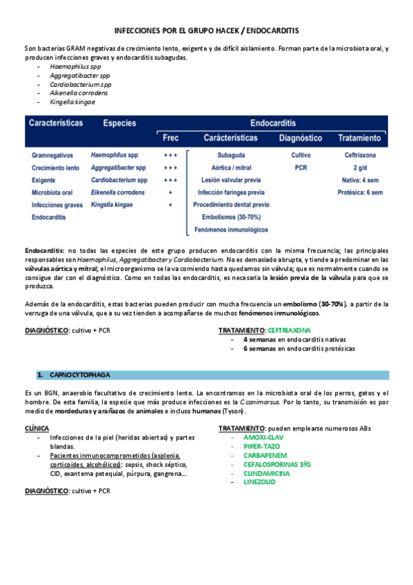 Miniatura del documento GRUPO-HACEK.pdf