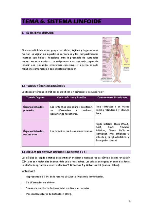 Miniatura del documento TEMA-6.pdf