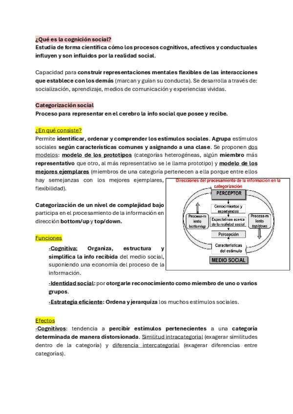 Miniatura del documento T10.-COGNICION-E-INTERACCION-SOCIAL.pdf