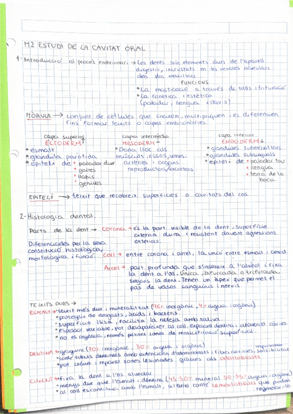 Miniatura del documento apunts-estudi-de-la-cavitat-oral-RA1.pdf