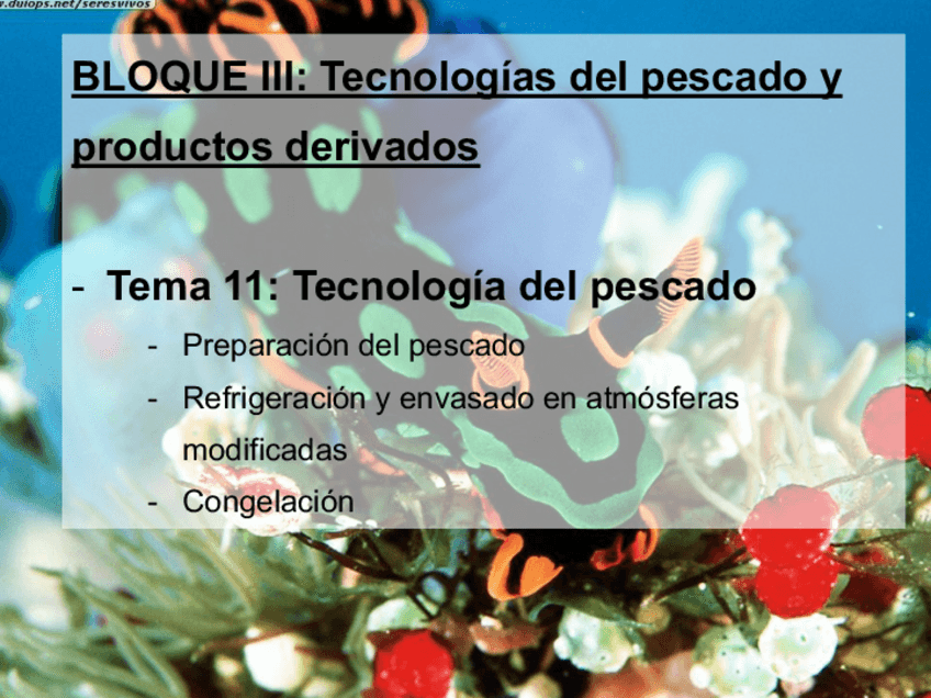 Miniatura del documento Temas-11-y-12.-Pescado-y-productos-derivados.pdf