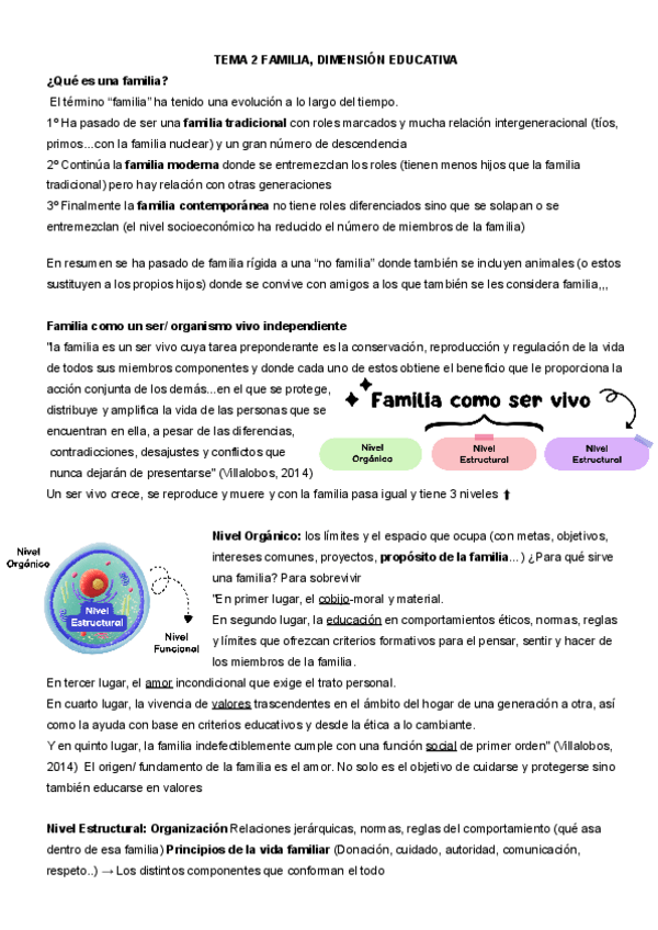 Miniatura del documento TEMA-2-DIMENSION-EDUCATIVA-DE-LA-VIDA-FAMILIAR.pdf