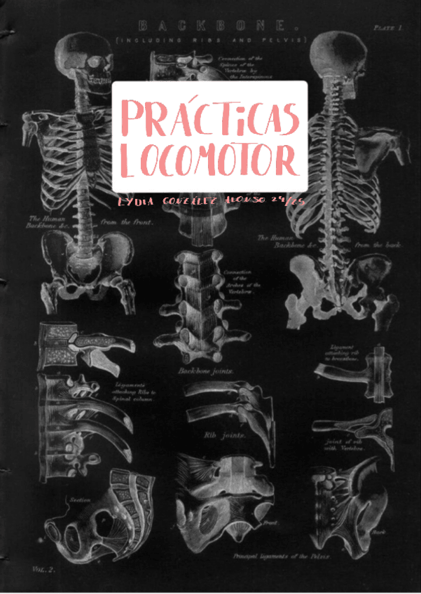 Miniatura del documento Practicas-locomotor.pdf