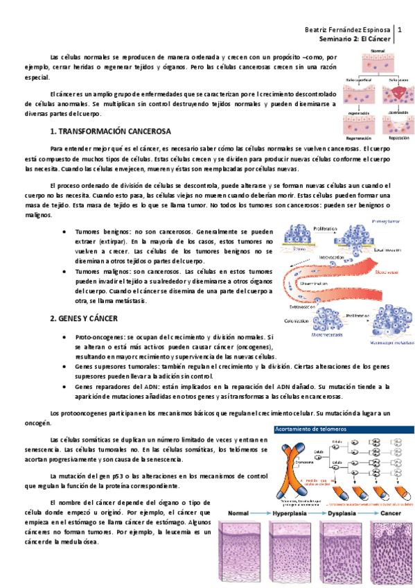 Miniatura del documento Seminario 2_El cáncer.pdf