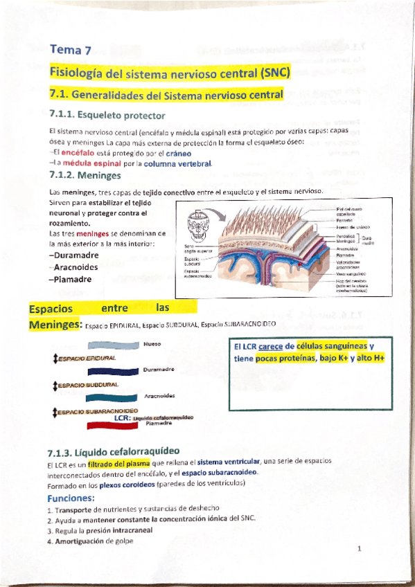 Miniatura del documento TEMA-7.-Resumes.pdf