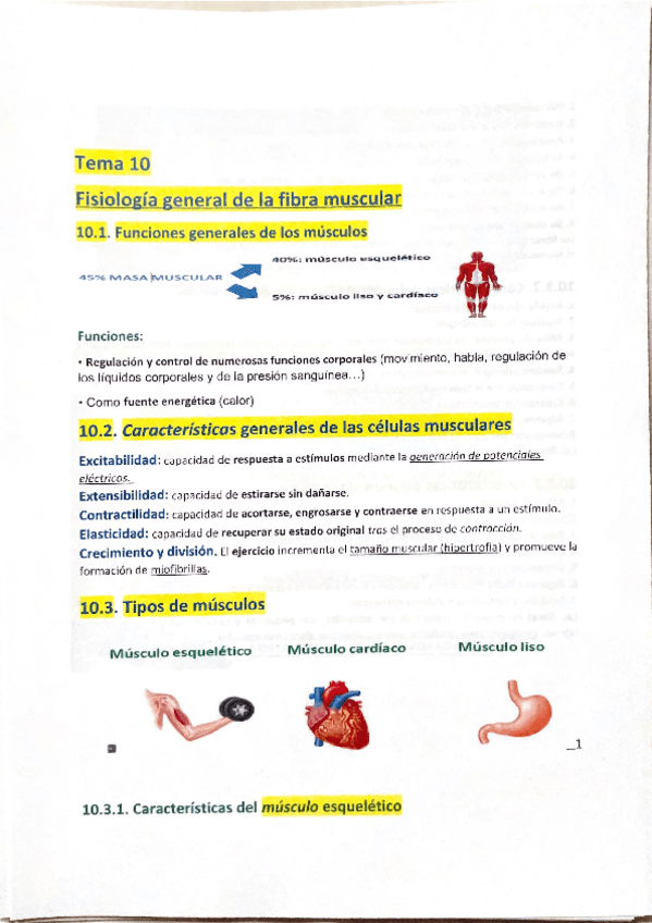 Miniatura del documento TEMA-10.-Resumen.pdf