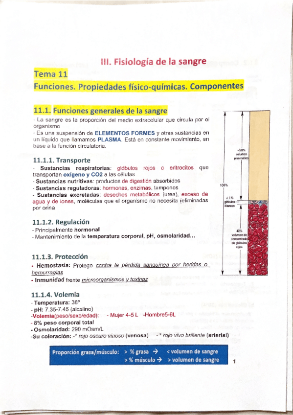 Miniatura del documento TEMA-11.-Resumen.pdf
