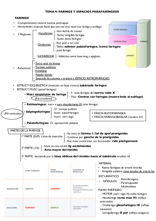 Miniatura del documento Tema-9.pdf