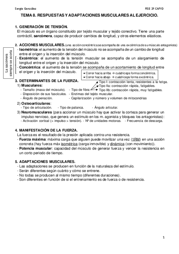Miniatura del documento 2o-parcial-fisioMejores-apuntes2024-25.pdf