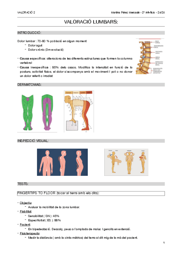 Miniatura del documento Valoracio-lumbars.pdf