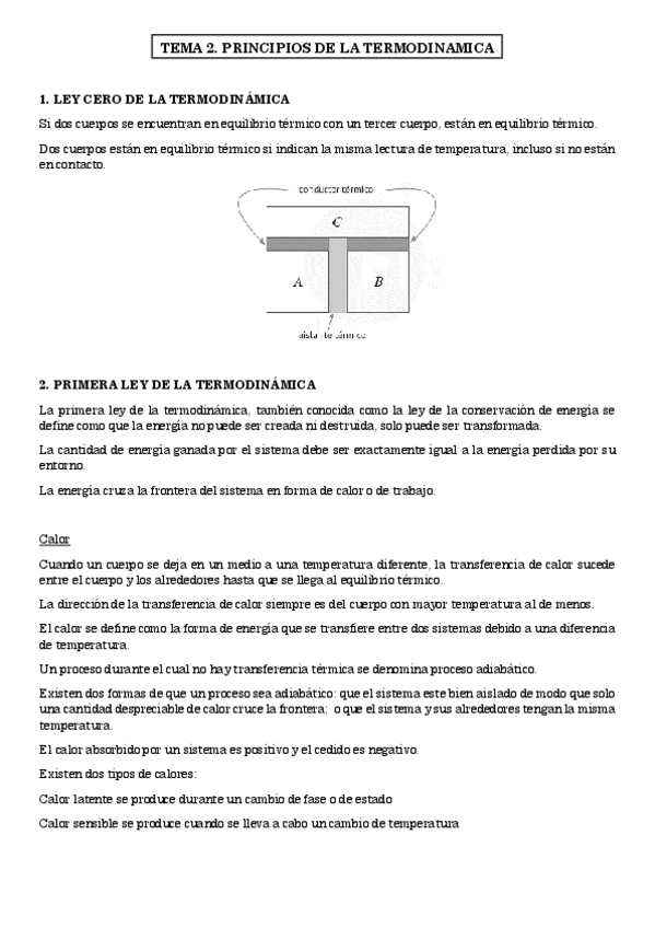 Miniatura del documento APUNTES TODO TERMO.pdf
