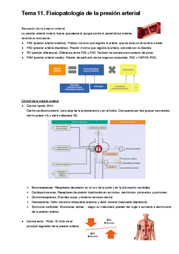 Miniatura del documento Tema-11.pdf