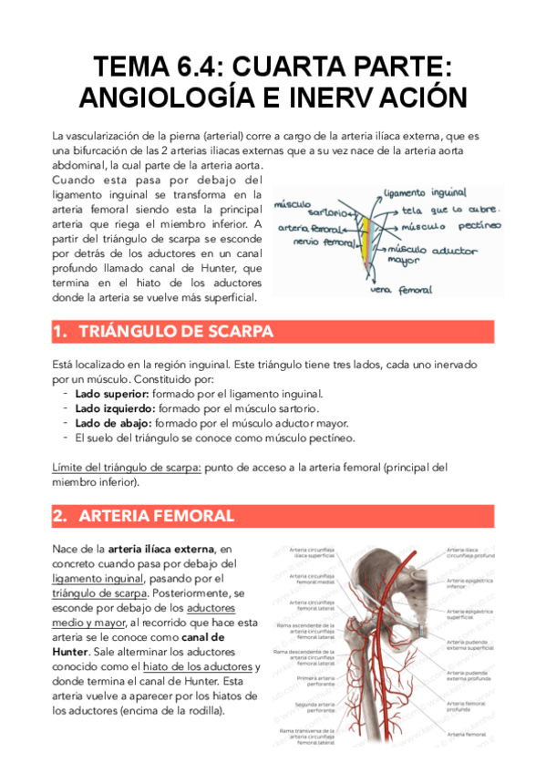 Miniatura del documento T6.4-A.pdf