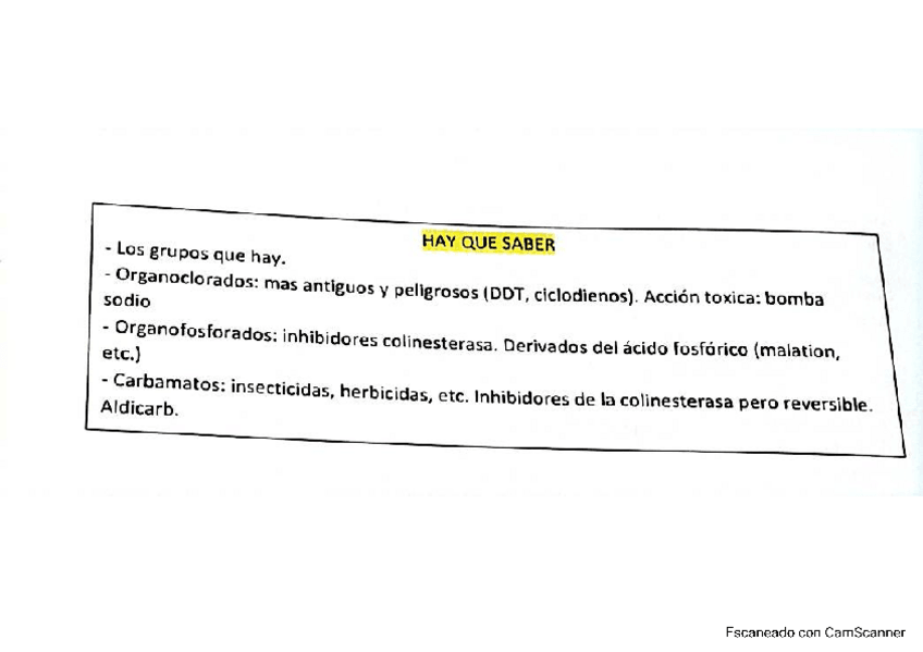 Miniatura del documento EXAMEN-ENTRA-SEGURO.pdf