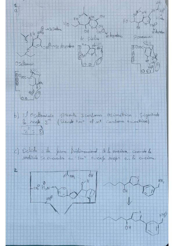 Miniatura del documento seminario-de-expansion-tema-3.pdf