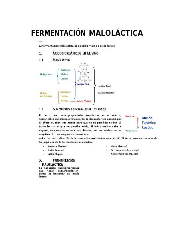 Miniatura del documento Fermentacion-malolactica.docx