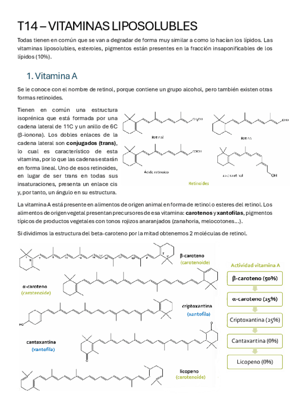 Miniatura del documento T14-VITAMINAS-LIPOSOLUBLES.pdf