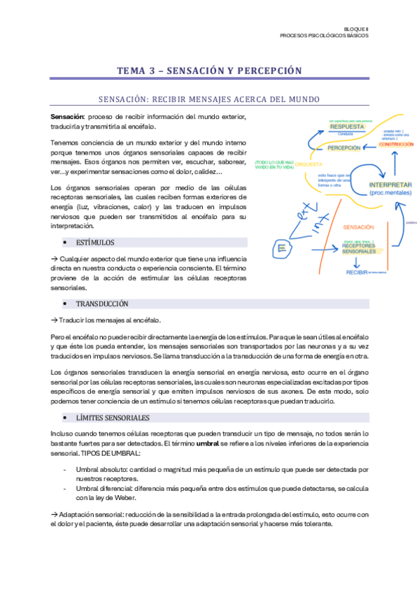 Miniatura del documento T3-BLOQUE II-Psicología I.pdf