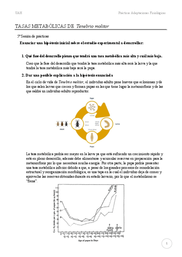 Miniatura del documento P5-meTabolismo-tenebrios.pdf