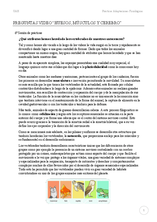 Miniatura del documento P6-Huesos-musculos-y-cerebro.pdf