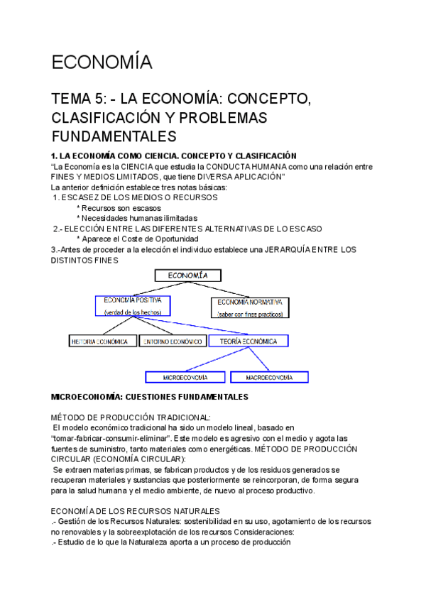 Miniatura del documento ECONOMIA.pdf