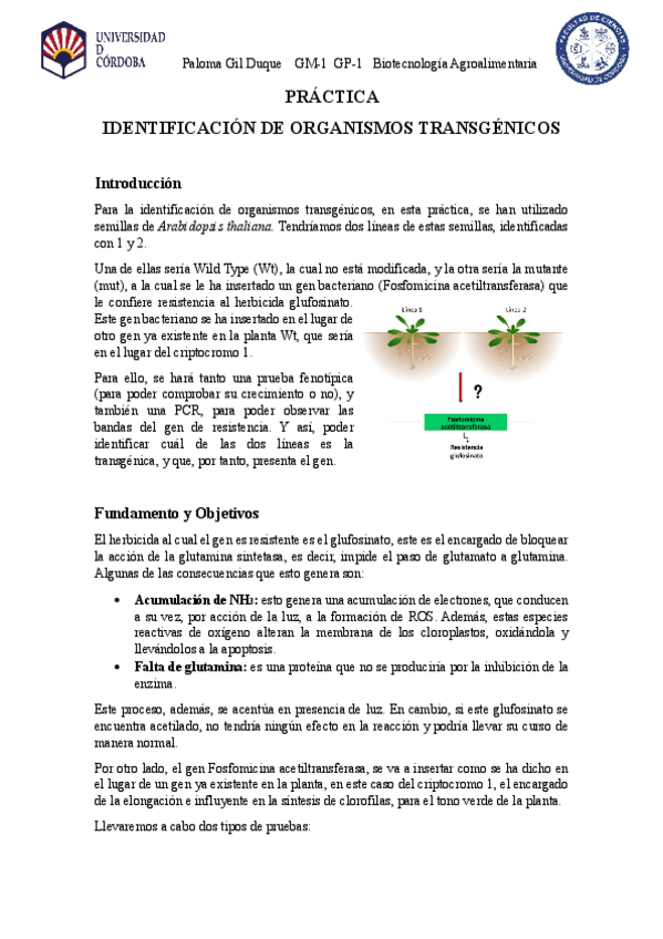 Miniatura del documento Practica-organismos-Transgenicos.pdf