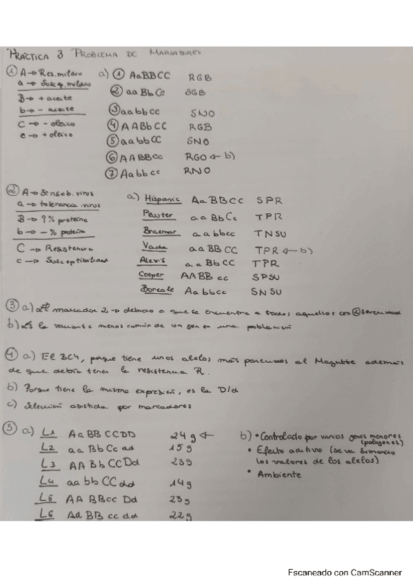 Miniatura del documento practica-3-problemas-de-marcadores.pdf