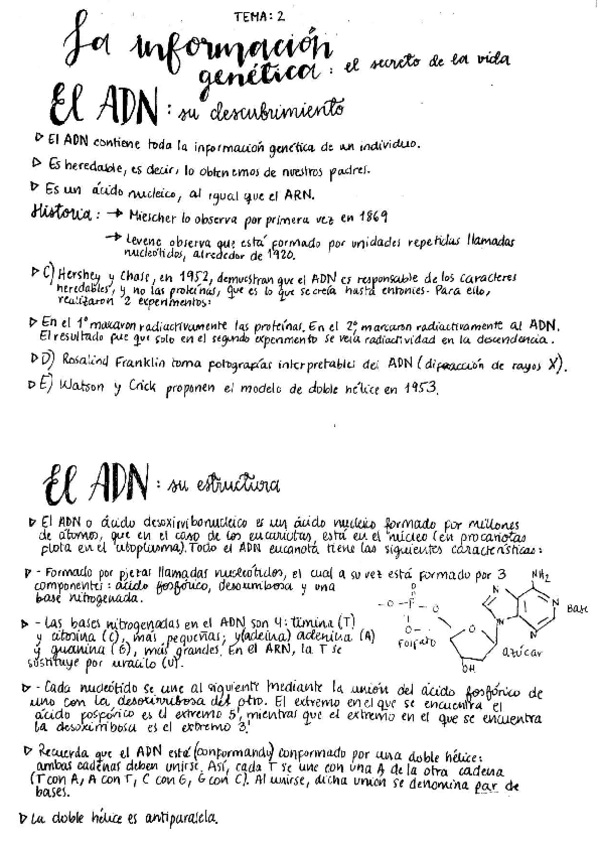 Miniatura del documento Resumen-Genetica.pdf