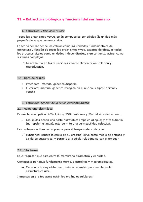 Miniatura del documento T1-Estructura-biologica-y-funcional-del-ser-humano.pdf