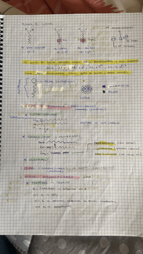 Miniatura del documento PHOTO-2024-10-02-12-36-56-2.jpg