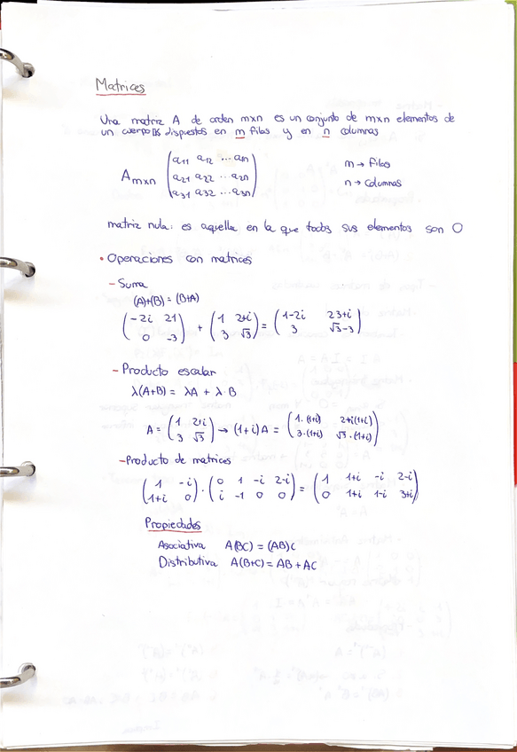 Miniatura del documento Apuntes-Algebra-Matrices.pdf