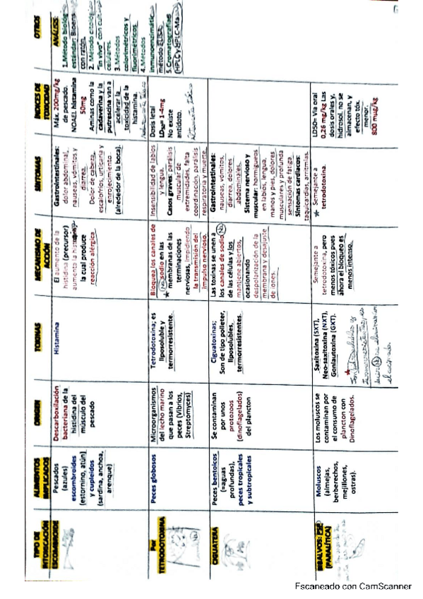 Miniatura del documento ESQUEMA-RESUMEN-TOTAL.pdf