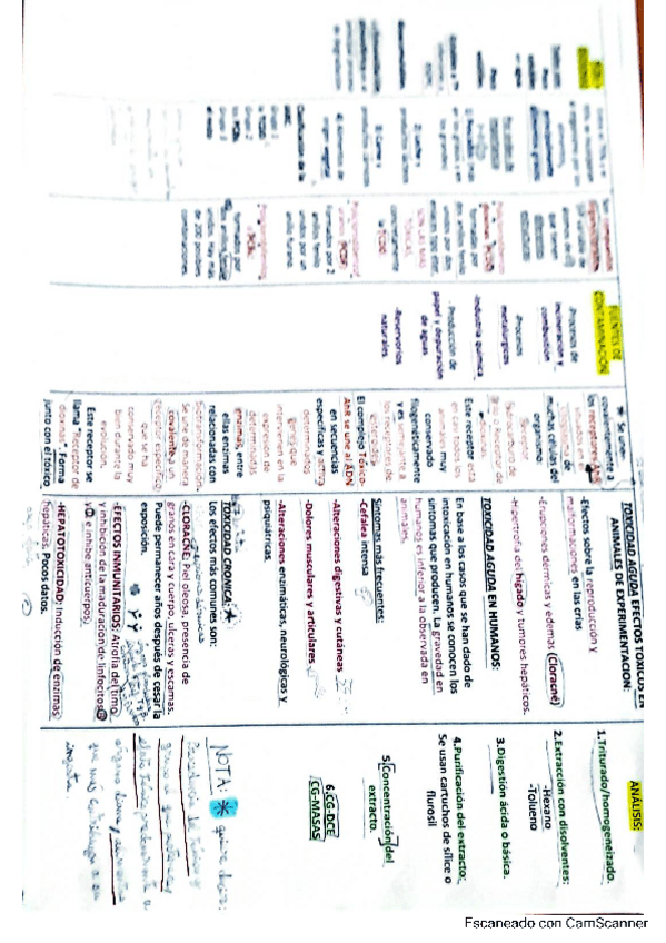 Miniatura del documento MAS-ESQUEMAS.pdf