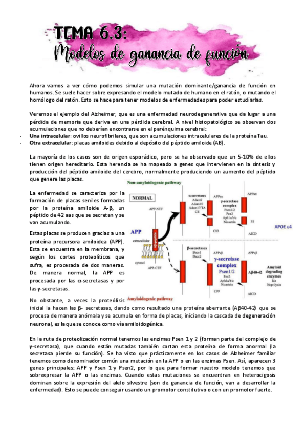 Miniatura del documento OMEB-bq-raquel-5.3-4-5-6.pdf