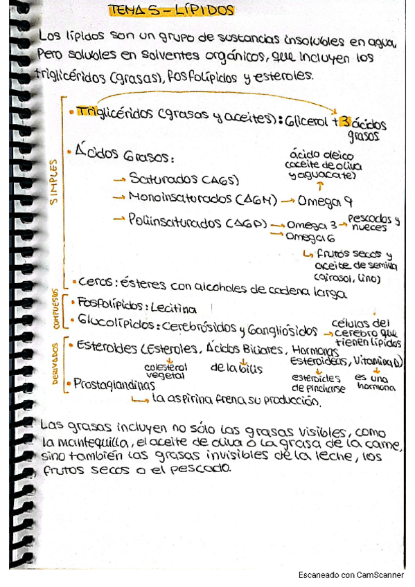 Miniatura del documento tema-5.pdf