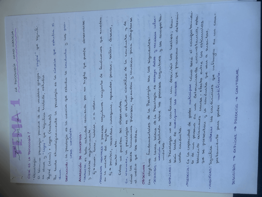 Miniatura del documento IMG9622.jpeg