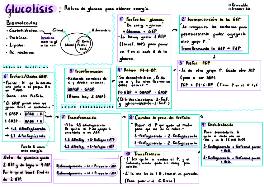Miniatura del documento Esquemas-Tema-2..pdf