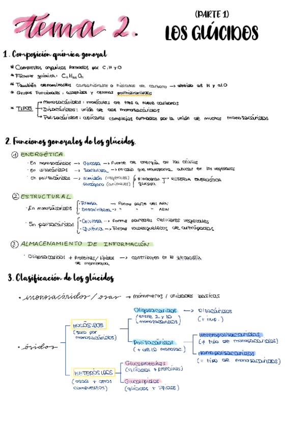 Miniatura del documento Tema-2.-Glucidos.pdf