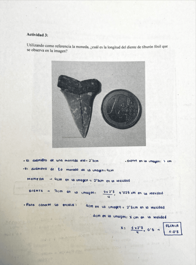 Miniatura del documento Practica-1-Actividad-3.pdf