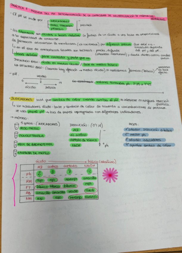 Miniatura del documento Apuntes-practicas-farma.pdf