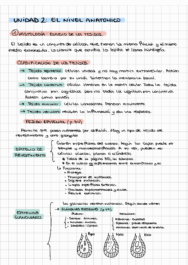Miniatura del documento Tema-2-El-nivel-anatomico.pdf