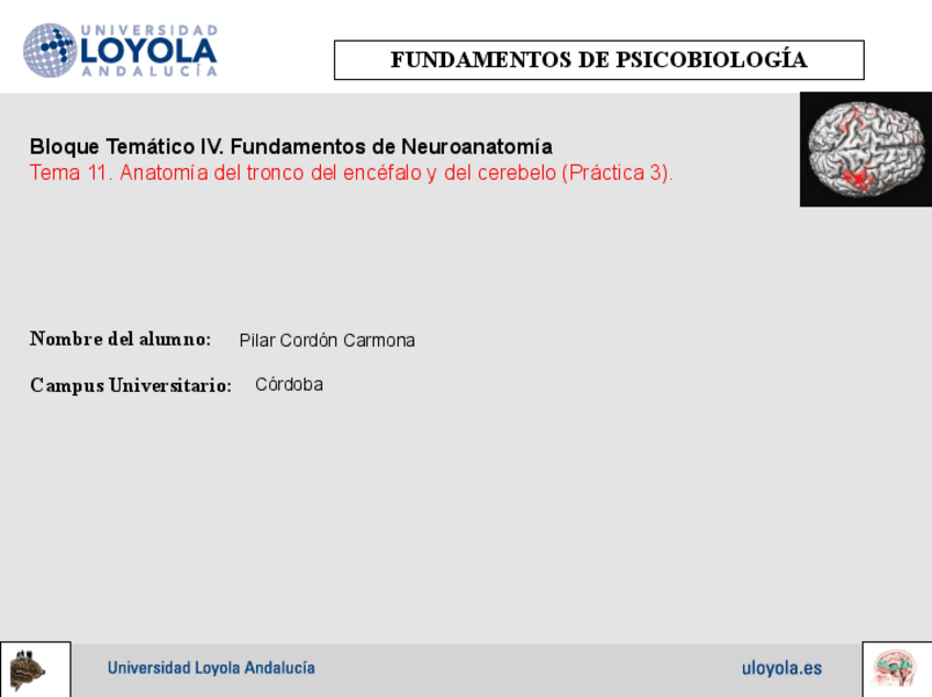 Miniatura del documento P3-PsicoBio.pdf