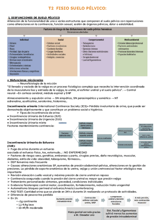 Miniatura del documento T2.pdf