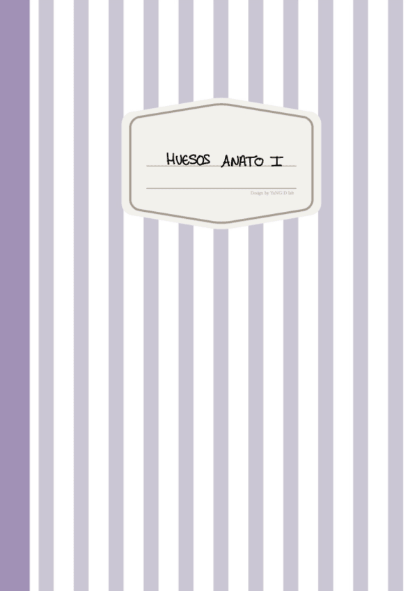 Miniatura del documento HUESOS-PART-1.pdf