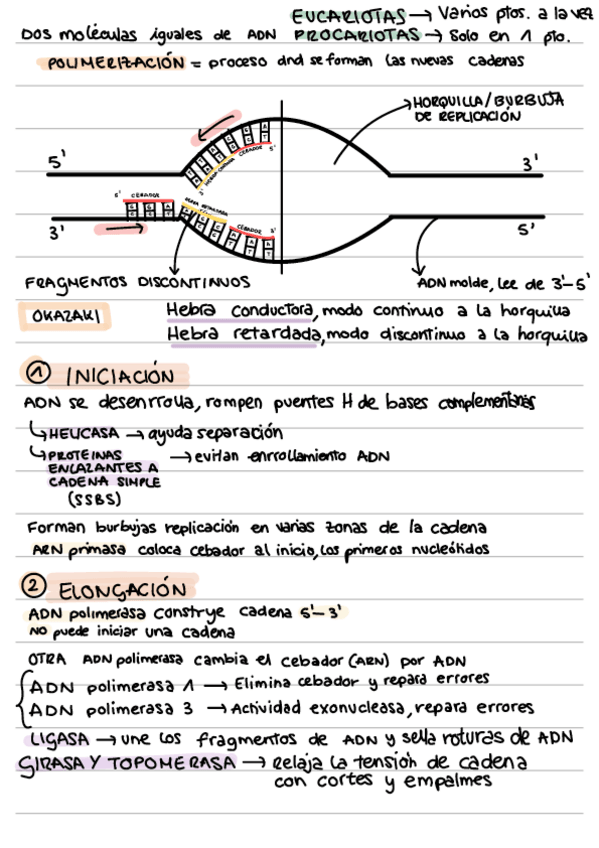 Miniatura del documento Replicacion.pdf