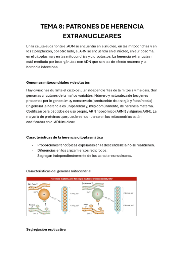 Miniatura del documento Tema-8.pdf